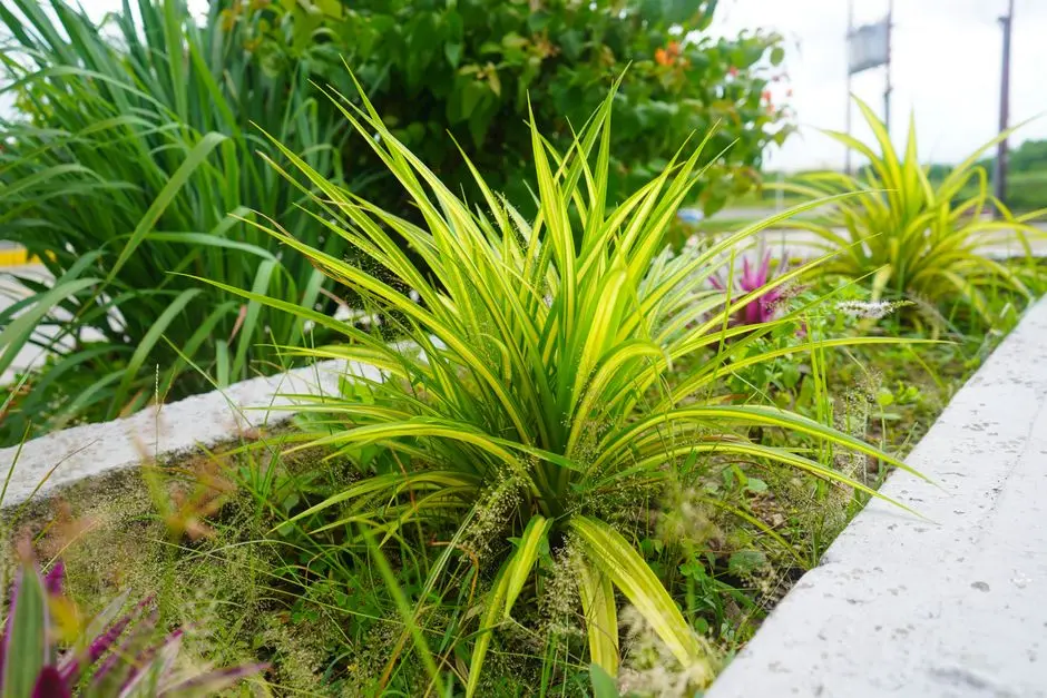 Garden at GODREJ ANANDA, KIADB Aerospace Park, Bagalur, Bangalore