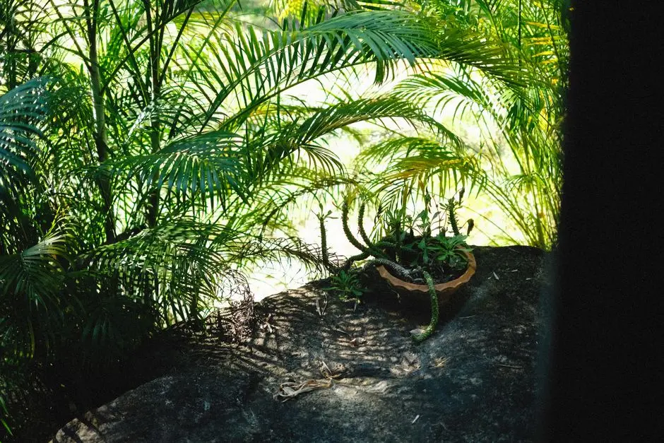 Garden at GODREJ RKS, Chembur, Mumbai