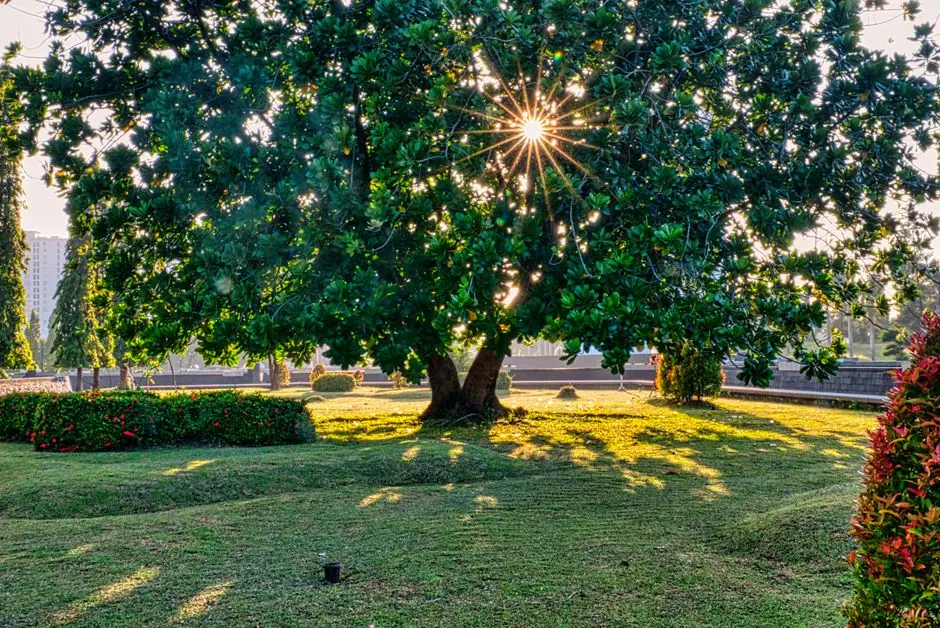 Garden at GODREJ CENTRAL, Chembur East, Mumbai