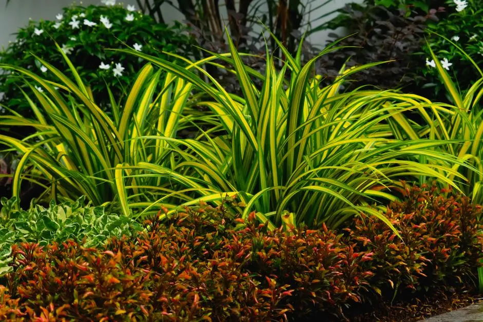 Garden at GODREJ EMERALD, Bhayandarpada, Thane
