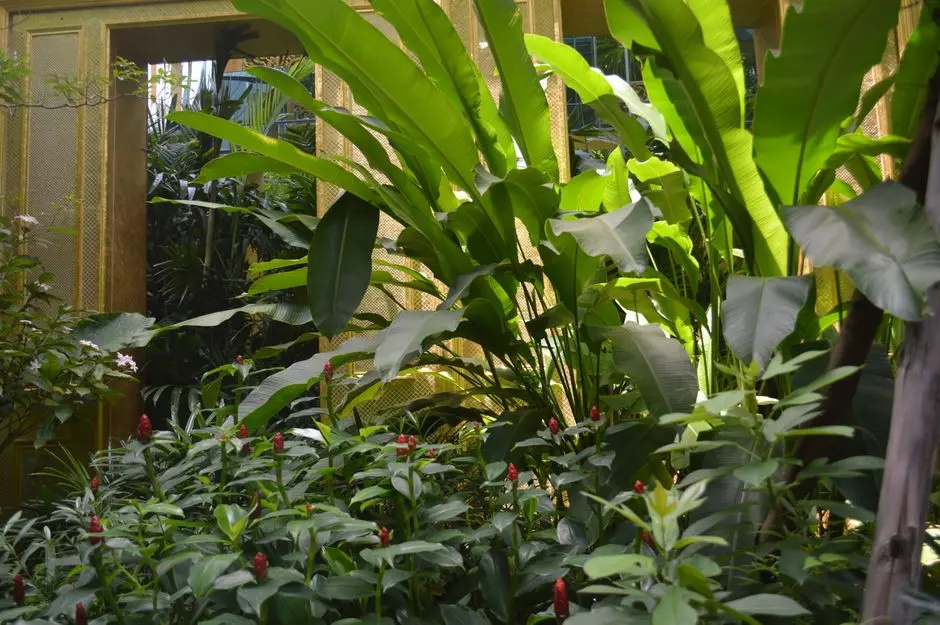 Garden at GODREJ PALM RETREAT, Sector 150, Noida