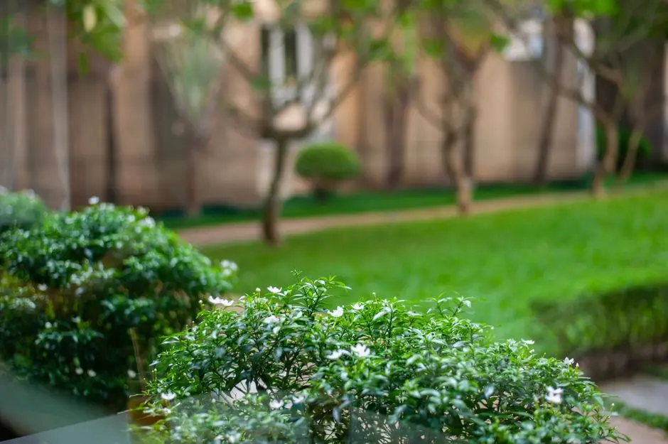 Garden at GODREJ MANESAR, Gurgaon