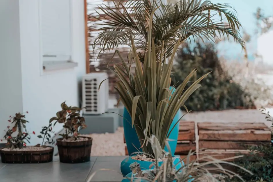 Garden at GODREJ ARISTA, Sector 79, Gurgaon