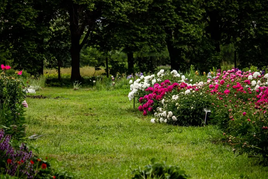 Garden at GODREJ SPLENDOUR, Whitefield, Bangalore