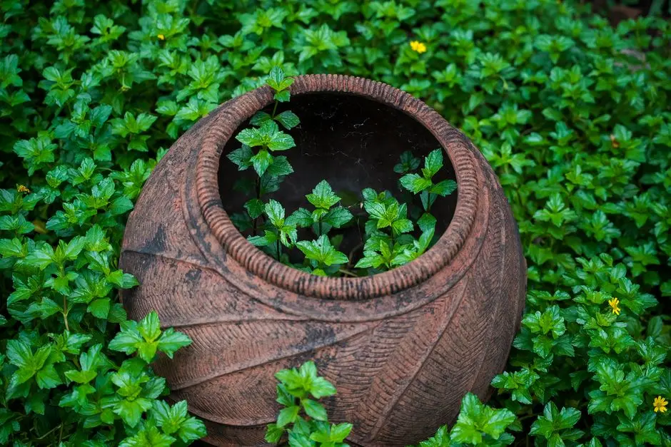 Garden at GODREJ ETERNITY, Mallasandra, Bangalore