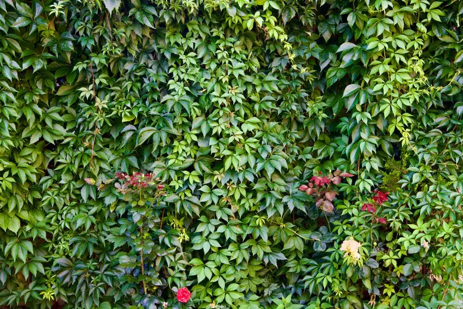 Garden at GODREJ SKY GREENS, Manjari, Pune