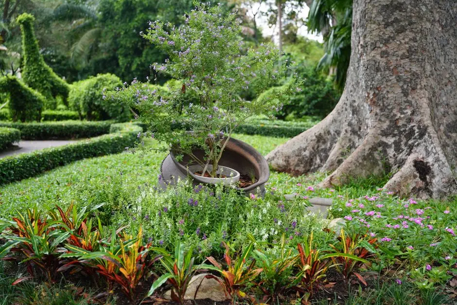 Garden at GODREJ MAAN, Hinjewadi Phase I, Pune