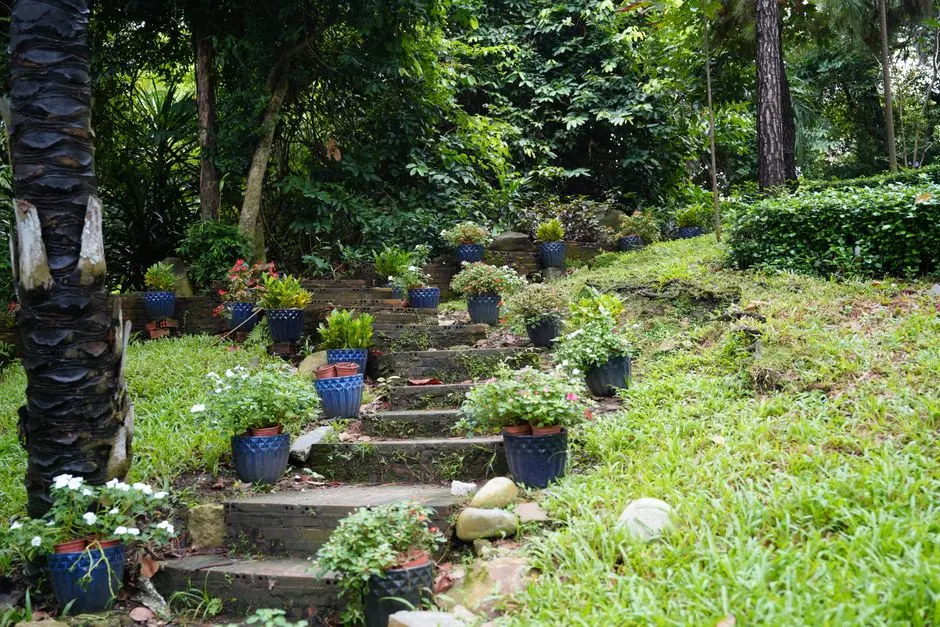 Garden at GODREJ KALYAN, Ambivli, Kalyan West, Mumbai
