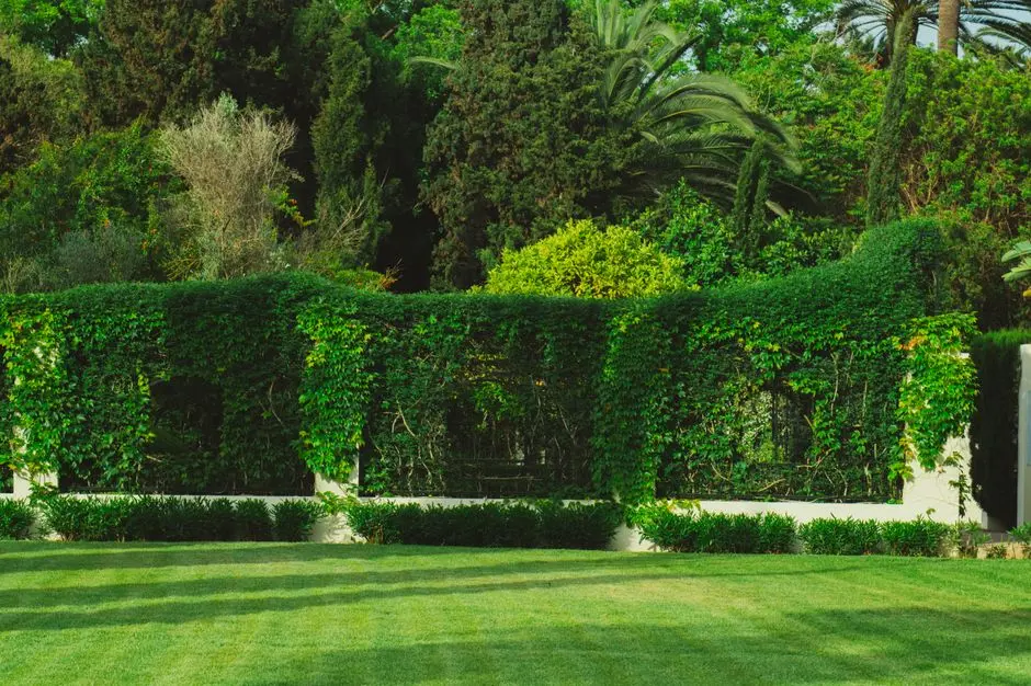 Garden at GODREJ CROWN JEWEL, Rajendra Nagar, Hyderabad