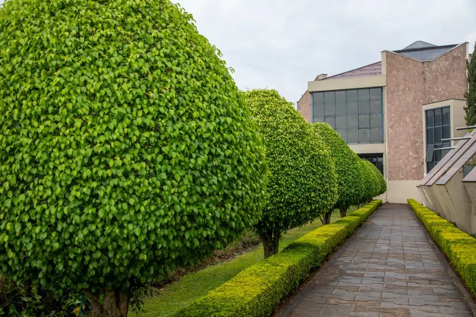 Garden at GODREJ SHAMSHABAD, Hyderabad
