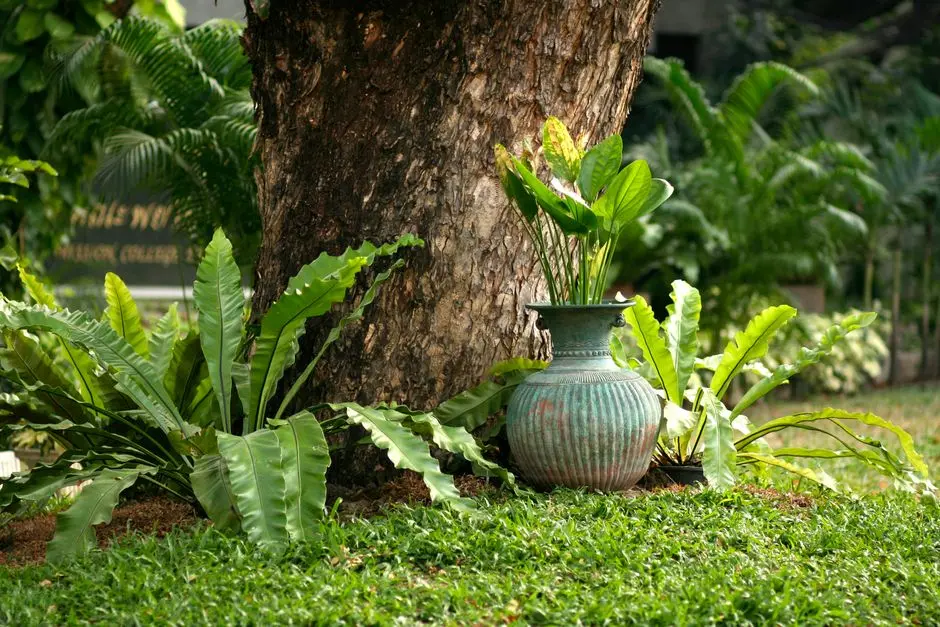 Garden at GODREJ FOREST ESTATE, Mihan, Nagpur