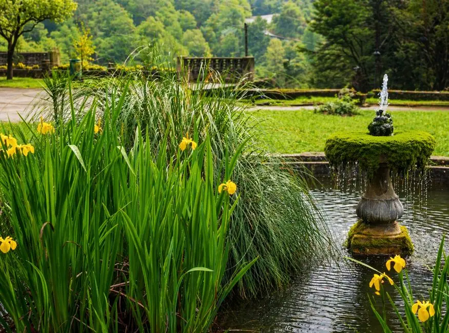 Garden at GODREJ VERDANIA ESTATE, Manglia, Indore