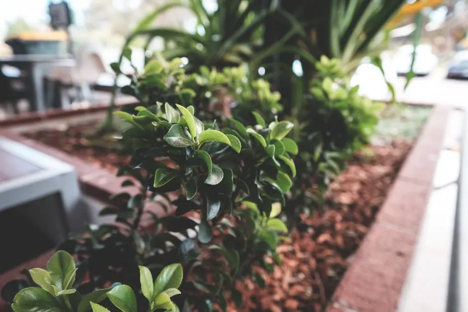 Garden at GODREJ MALL GOLF LINKS, Greater Noida