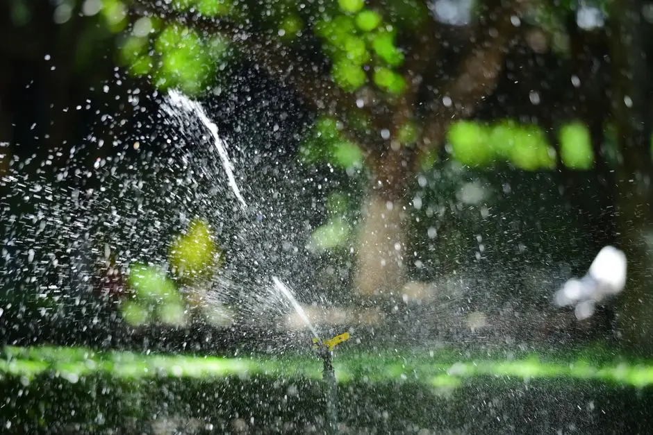 Garden at GODREJ PLOTS MANGALURU, Mangaluru