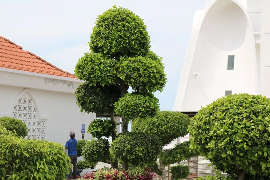 Garden at GODREJ SOUTH COIMBATORE GOLF CLUB PLOTS, Coimbatore