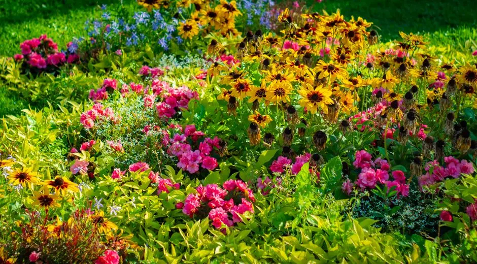 Garden at GODREJ EXQUISITE / PRESIDENTIAL VILLAS AT GODREJ GOLF LINKS, Sector 27, Greater Noida