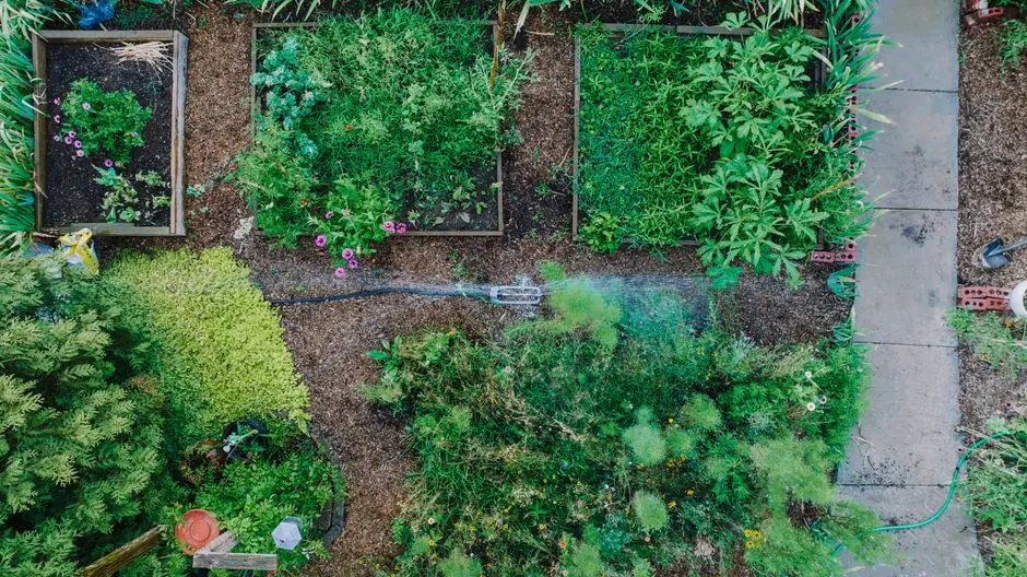 Garden at GODREJ AVENUES, Yelahanka, Bangalore