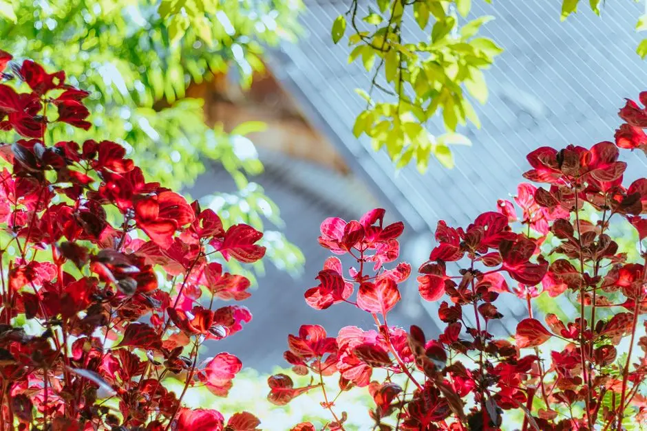 Garden at GODREJ GATEWAY PLAZA, Sector 27, Greater Noida