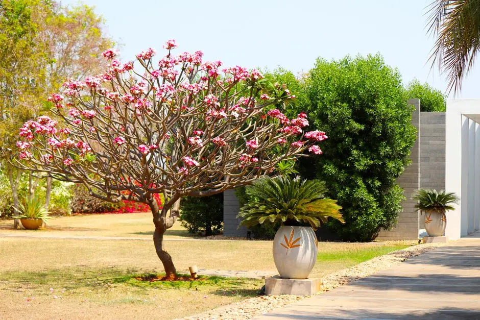 Garden at GODREJ 24, Hinjewadi Phase 1, Pune