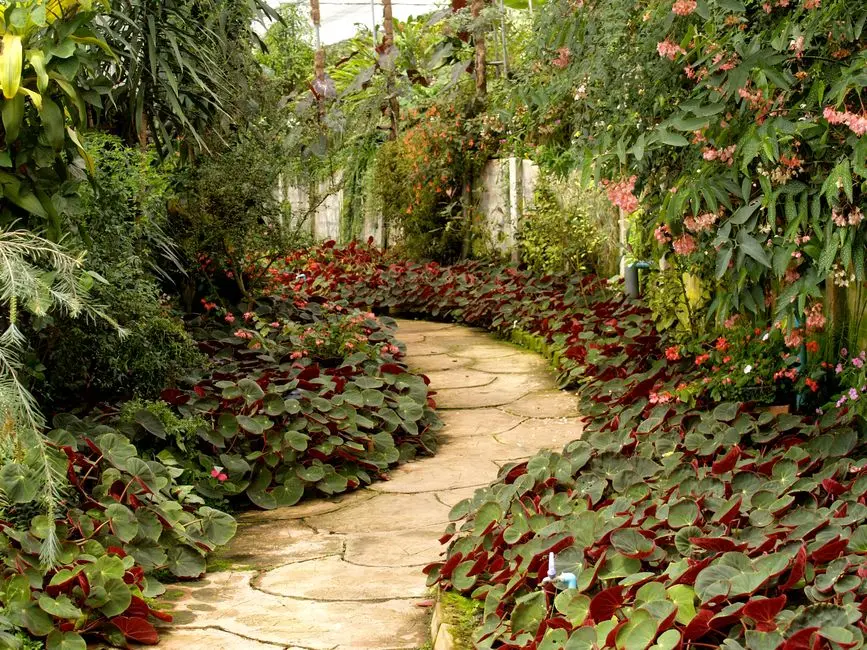 Greens & Outdoors at GODREJ SOUL AT GODREJ ANANDA (PHASE 3), Bagalur, Bangalore