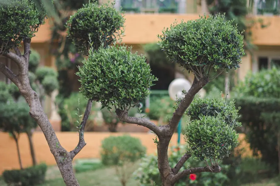 Greens & Outdoors at GODREJ DMIC GREATER NOIDA, DMIC Integrated Township, Greater Noida