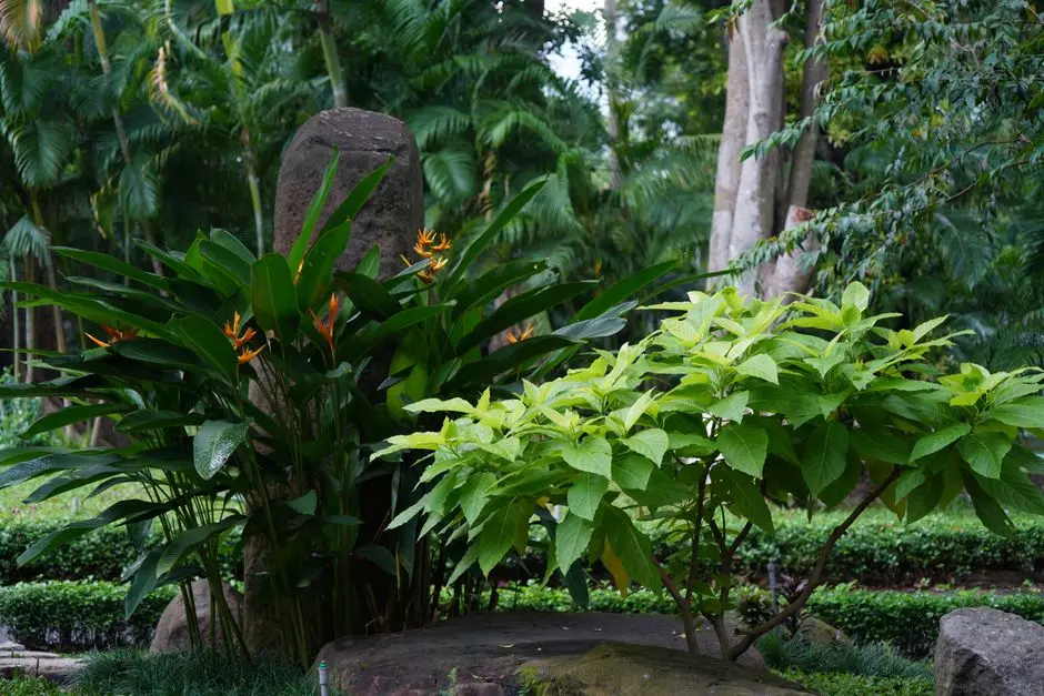 Greens & Outdoors at GODREJ PLOTS RAIPUR, Doma-1, Raipur