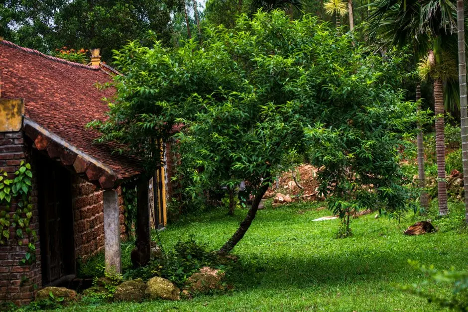 Greens & Outdoors at GODREJ KHARADI-WAGHOLI, Pune
