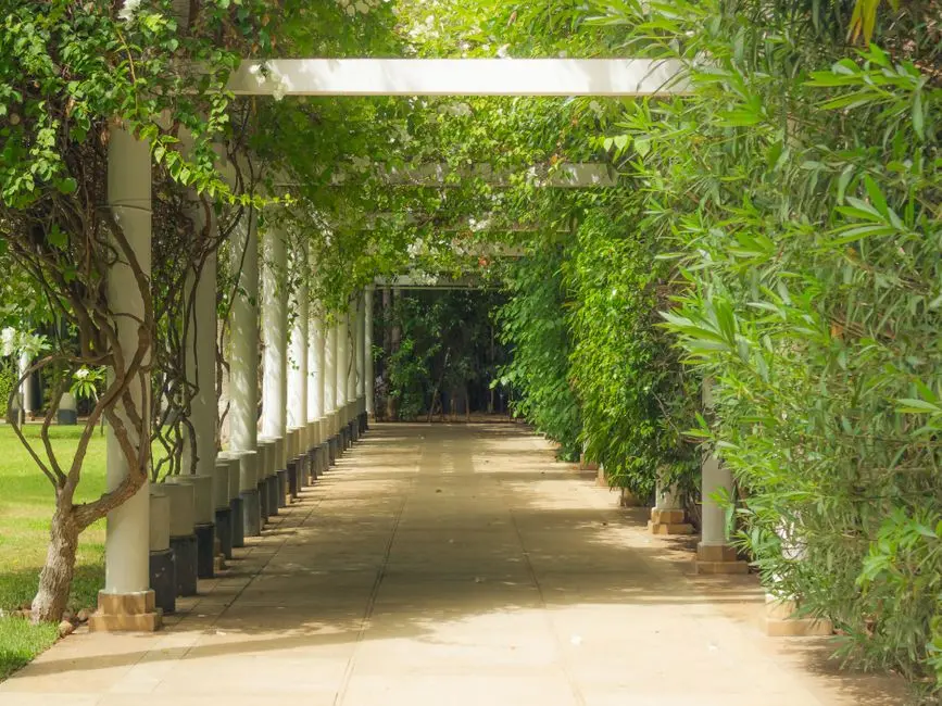 Greens & Outdoors at GODREJ SARJAPUR ROAD TOWNSHIP, Bangalore