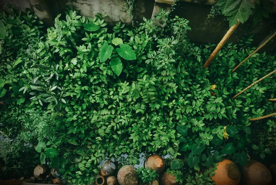 Greens & Outdoors at GODREJ KELAMBAKKAM SOUTH CHENNAI PLOTTED, Chennai