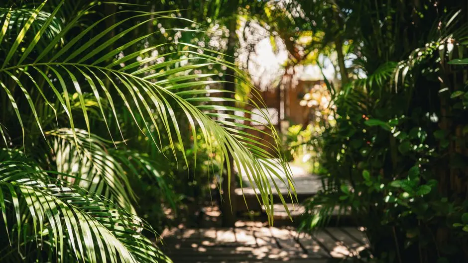 Greens & Outdoors at GODREJ THANE MUMBAI, Ghodbunder Road, Thane